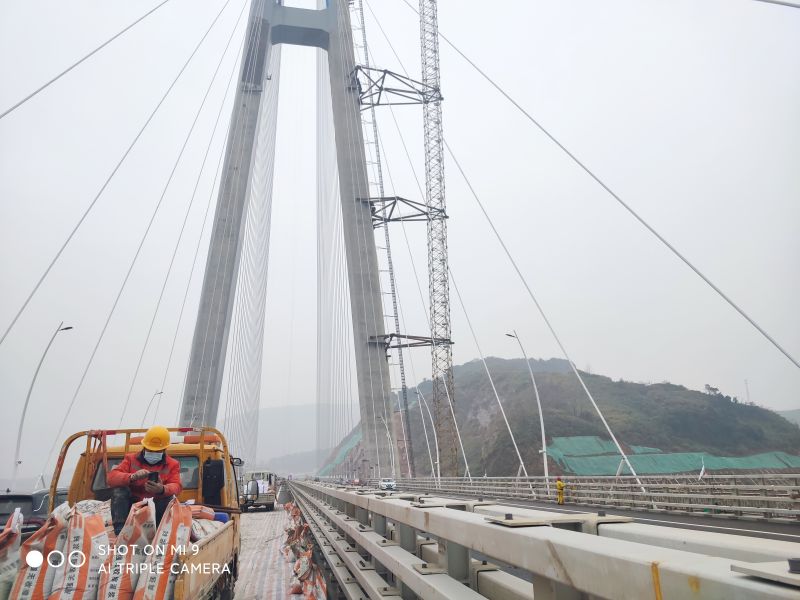 湖北路橋集團(tuán)-湖北武穴長(zhǎng)江大橋(圖1)